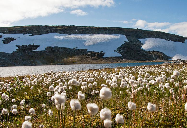 Kuvauspaikka Salloaivi, Suomen ja Norjan rajalla. Kuva: Kristiina Johansson, MRP Matila Röhr Productions. 