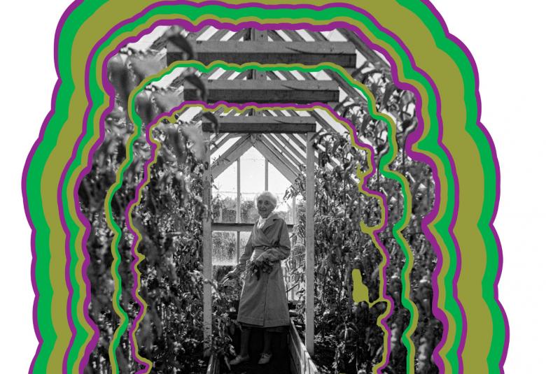 Kuvassa on näyttelyn juliste, jossa on männyn läpileikkausmainen vihertävä kuvio ja sen keskellä on musta-valkoinen kuva Ainolasta.