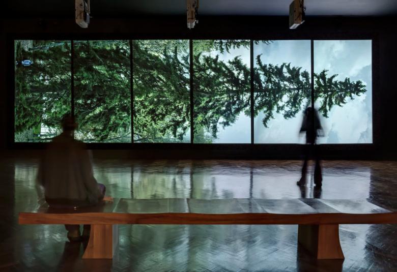 Kuvassa on näyttelytila, jossa on penkki ja katsoja etualalla. Seinällä on useampaan osaan jaettu värikuva, jossa on kuusi poikittain.