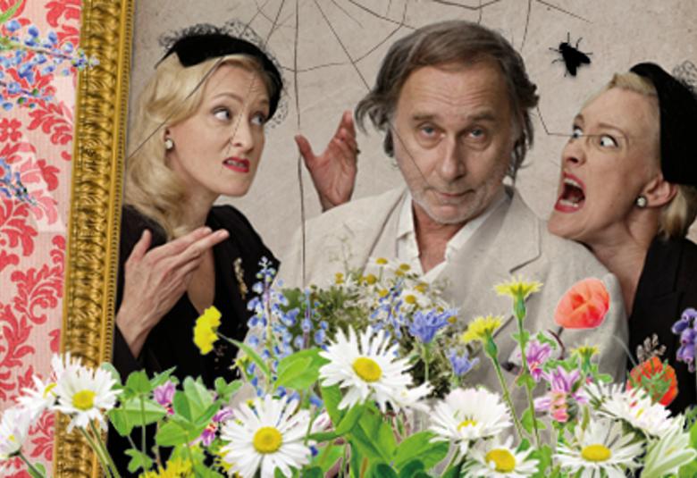 Kuvassa on keskellä olevan tohvelisankarin vasemmalla puolella hyvmyilevä rouva ja oikealla puolella huutava rouva musta pillerihattu päässään.  Kuvan reunassa on kukkia ja henkilöt ovat taulun sermien sisällä.  