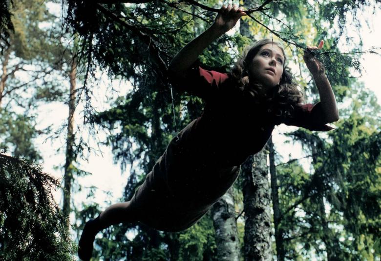 ARS FENNICAN kuvataidekilpailun 2021 ehdokkaan Eija-Liisa Ahtilan teos BG.