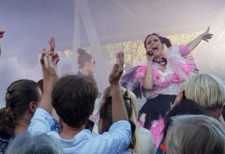 Kuvassa on Maija Vilkkumaa seisovan yleisön edessä laulamassa vahvalla ilmeellä.  Hänellä on valkoisen punakirjava puku, jossa on liuskamaiset kangaskaistallet. Taustalla on sinertävää valoa ja savua.