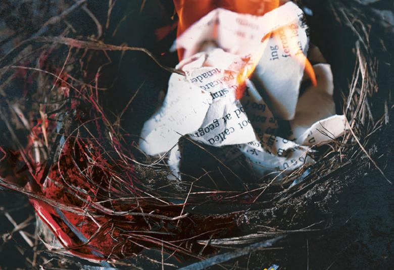 Kuvassa on linnunpesä tummalla taustalla ja pesässä on revittyä paperia, josta lähtee liekki ylöspäin.