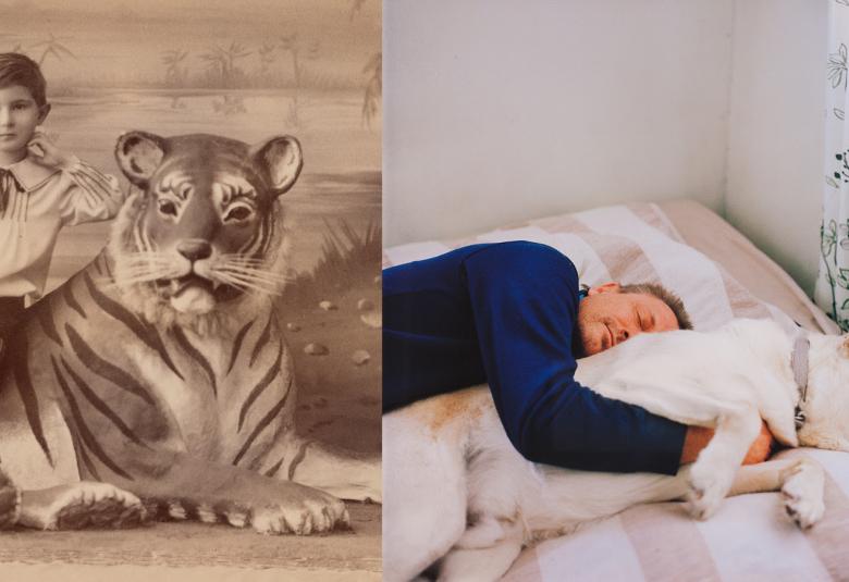 Kuvassa on pikkupoika joka istuu tiikeri vieressään.  Toisessa kuvassa on mies nukkumassa sängyssä lakanoiden välissä ja hänen vieressään on valkoinen suuri koira.