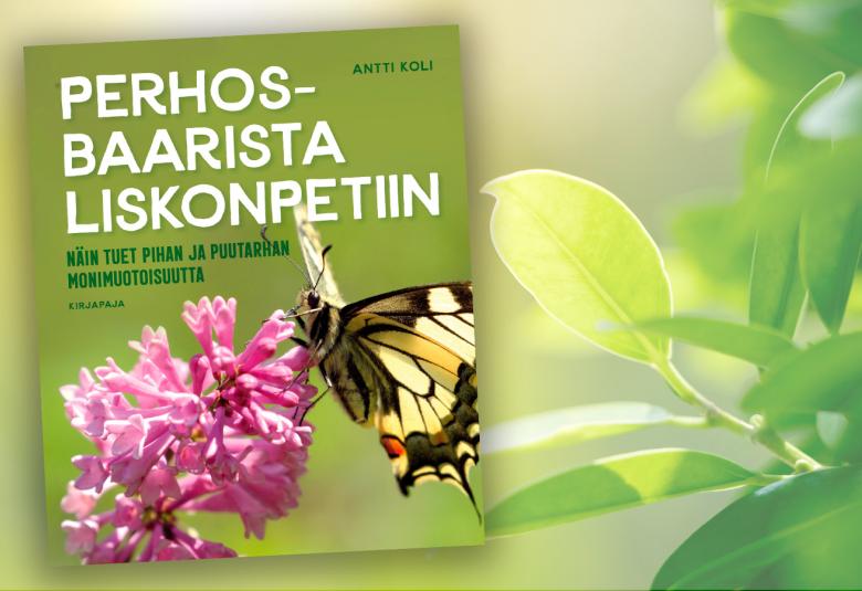 Kuvassa on vaalean vihreällä pohjalla kuva kirjan kannesta.  Taustalla on muutama lehtipuun oksa. Kirjan kannessa on kirjan nimi valkoisella ja siinä on perhonen syömässä vaalean punaista sireenin kukkaa.