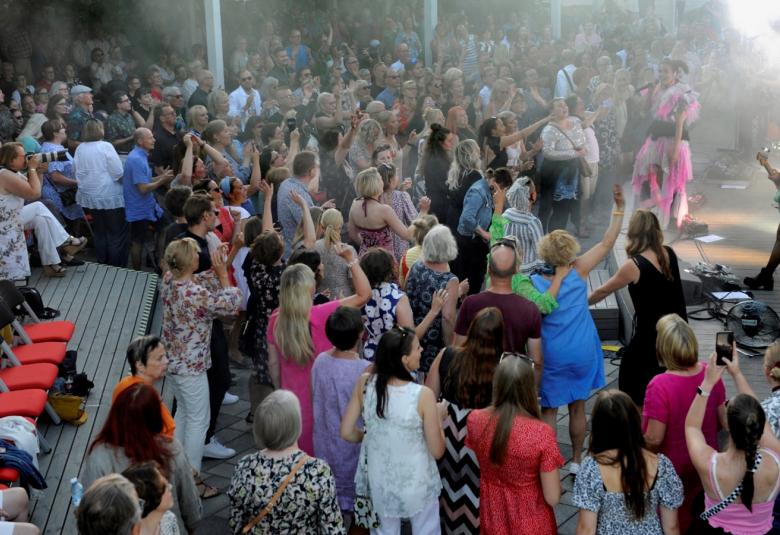 Kuvassa on ylhäältä päin kuvattuna Salmelassa Maija Vilkkumaan konserttiyleisöä .  Maija Vilkkumaa on esiintymässä lavalla oikealla ja yleisö on vasemmalla seisomassa katsomassa esiintyjää.