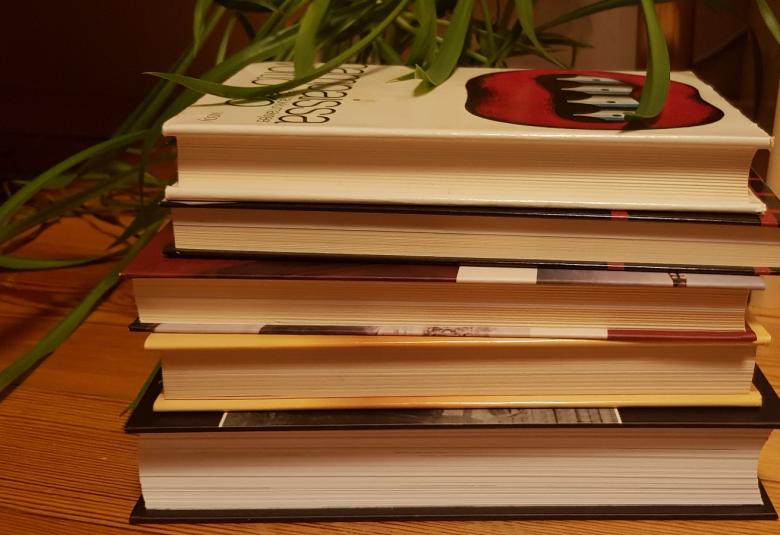 Kuvassa on neljän kirjan pino ja taustalta ylempää viherkasvin kapeita lehtiä.
