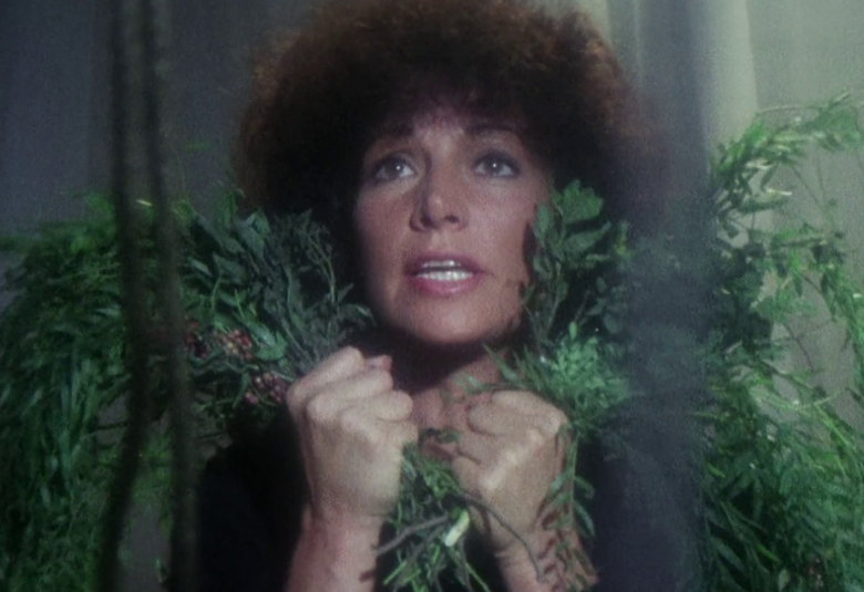 Kuvassa on naisen kasvot ja katse ylöspäin.  Hänellä on ruskeat pörröiset hiukset ja kädessä on vihreitä kasveja.