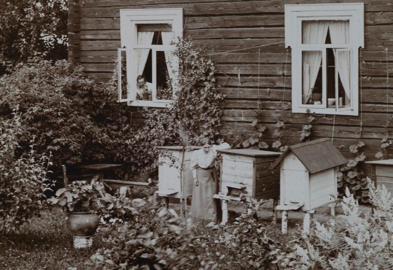 Kuvassa on Gallen-Kallelan hirsitalo ja sen vierellä mehiläispesiä sekä nainen hoitamassa niitä. Kuva on musta-valkoinen.