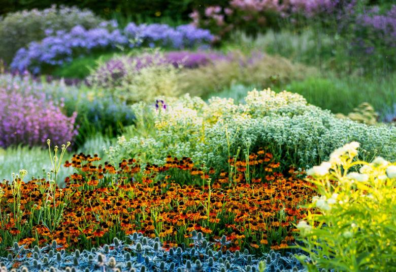  Kuvassa on kerrostuneesti lainehtien kukkia eri väreissä kuten ruosteen punaisia, sinisiä vaalean vihreitä ja valkoisia. 