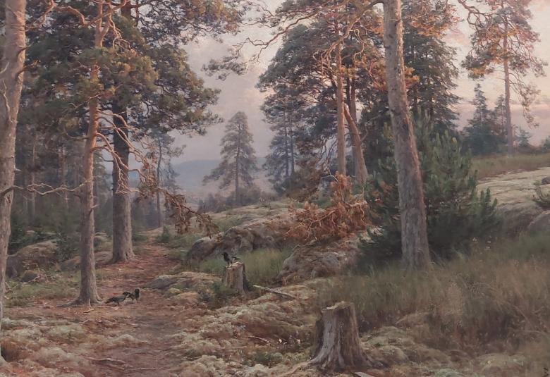 Kuvassa on mäntymetsää mäellä ja siinä kulkeva polku. Taustalta näkyy mäen takaa näkyvää mäkimaastoa unenomaisen himmeänä.