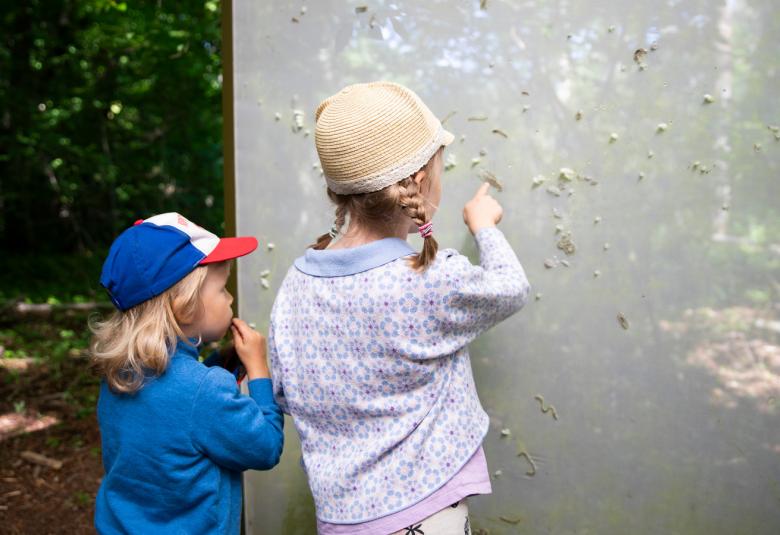 Kuvassa on kaksi lasta, joista vasemmalla on pienempi sinisessä puserossa ja lippalakissa. Oikealla vieressä on tyttö valkoisessa puserossa ja vaaleassa hatussa. He katsovat vaaleaa teosta ja taustalla näkyy metsää.