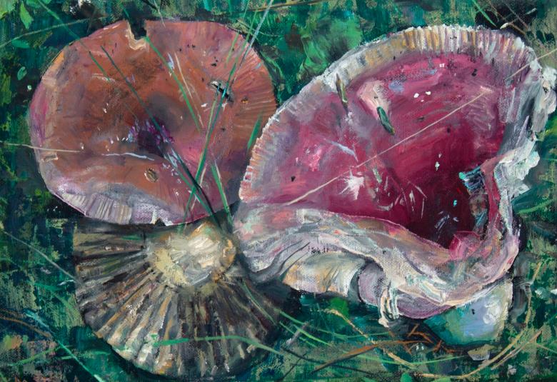 Kuvassa on punaisia isoja sieniä ja taustalla on vihreää syysmetsän pohjaa.