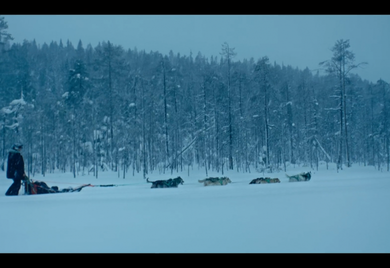 Kuvassa on sinertävässä valossa tunturimaisemassa liikkuva koiravaljakko vetämässä rekeä ja miestä. Taustalla on oikealta nousevaa metsää. Kuvassa on ylhäällä ja alhaalla mustat reunat.