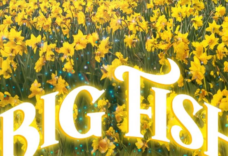 Kuvassa on keltaist narsissipeltoa ja alhaalla kaarevasti isoin kirjaimin Big fish.