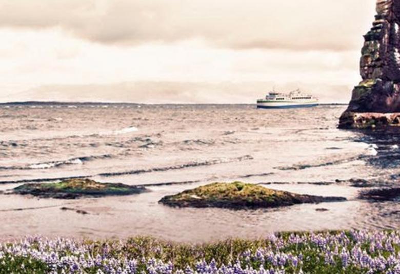 Kuvassa on merenrantamaisema.  Kuva on harmahtava ja siinä näkyy näkyy oikealla lähestyvä laiva ja kalliota. Etualalla on kanervikkoa. Kuva on osa irjan kannesta.