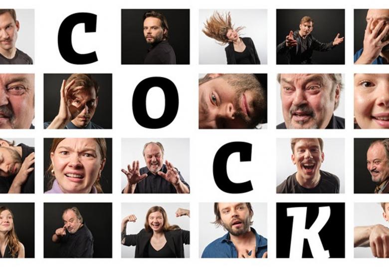 Kuvassa on neliömäisiä valokuvia näyttelijöiden kasvoista eri ilmeillä.  Niitä on vaakana kuusi ja pituussuunnassa neljä. Vinottain on näytelmän nimi Cock kirjain kerrallaan kuvien seassa.