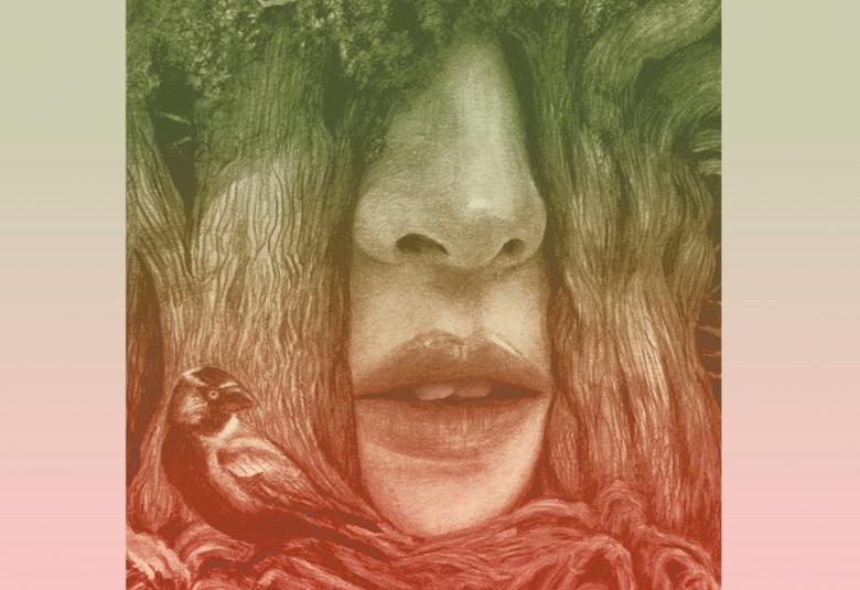 Kuvassa on osa kirjan kannesta. Molemmissa reunoissa on vihertävän punertavaa ja keskellä on turkikseen kiedotut naisen kasvot. Niistä näkyy nenä ja huulet.  