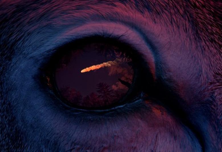 Kuvassa on tumma violetti sävvy ja siinä on keskellä silmä, johon osuu valojuova. Siinä on karvoitusta ja silmä on eläimen. 