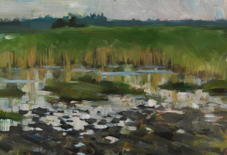 Kuvassa on rantamaisema, jossa on etualalla matalaa vetta ja kiviä sekä taaempana vihertävää kaislikkoa. Takana on tummaa metsää.