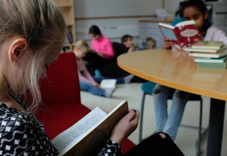 Kuvassa on vasemmalla puoliksi selin lukeva tyttö, joka istuu hänellä on musta-valkokuvioinen pusero.  Häntä vastapäätä kirjastotilassa istuu kauempana pöydän ääressä toinen, tummaihoinen tyttö.  Taustalla näkyy neljä noin 12-vuotiasta lasta sohvalla ja isolla tyynyllä.