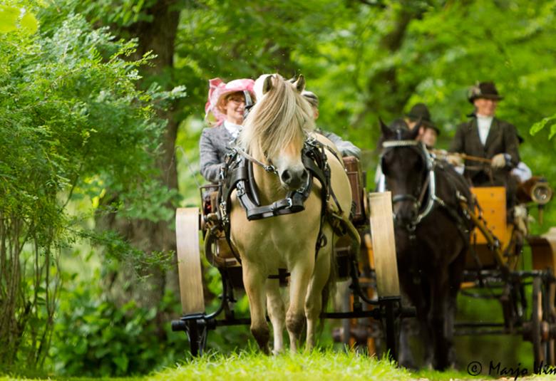 Kuvassa on kahden hevosvaunut, joista ensimmäisessä on valkoinen hevonen vaunuissa näkyy vaaleanpunaiseen lierihattuun pukeutunut nainen. Taustan hevonen on tumma. Ympäristössä on vihreää puustoa.