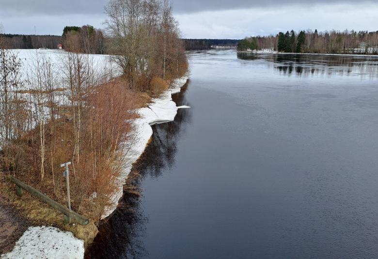  Kuvassa on kelta-puna-vihreä lohikäärmeen pää.  Sitä katselee vasemmassa kulmassa vaalea nuori tyttö. Taustalla on tumma rakennus.