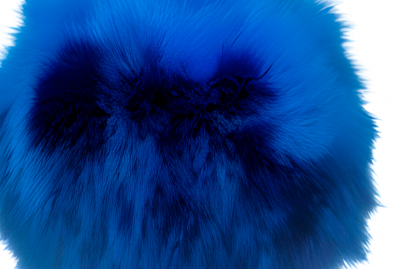 Kuvassa on karvainen mustikkaläiskä, joka on osa julistetta.