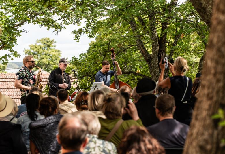 Kuvassa on ylempänä lavalla soittajia lehvästön keskellä ja alemapana yleisön päälakia. 