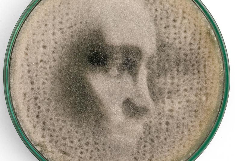 Kuvassa on pyöreästi kehystetty taideteos, jossa on vaalean ruskeana reikämäistä pintaa ja siinä vinottain nuoren miehen kasvot. Tausta on valkoinen.