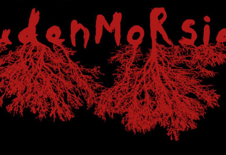 Kuvassa on mustalla pohjalla osa mainoksesta, jossa on punaisella nimi Sudenmorsian maalattuna ja kirjaimista d, e, o ja r lähtee runsaita juuria.