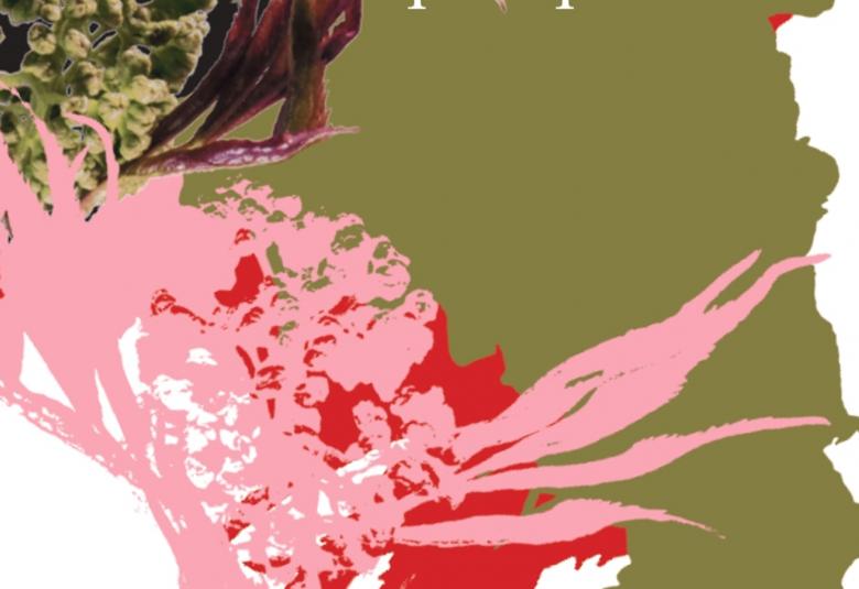 Kuvassa on osa kirjan kannesta ja siinä on vasemmassa kulmassa vihreää kaalimaista kuviota ja sen alla punasta roosan väristä maalattua kasvi, joka tuli alhaalta päin. Oikealla on vihreää väriä ja reunassa valkoista.