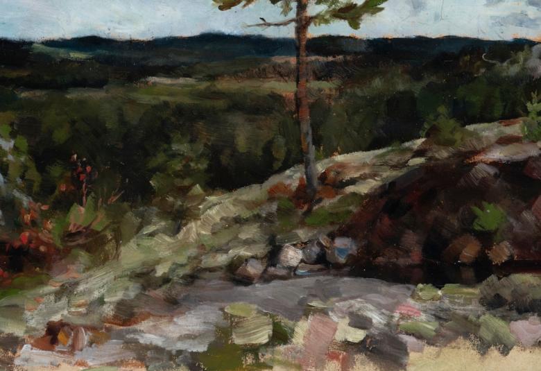 Kuvassa on kallioinen maisema ja keskellä kalliota kasvaa yksi mänty. Kallioiden keskellä on kuru.  Taustalla on harmaan sinistä taivasta ja kallioiden välissä kasvaa metsää.