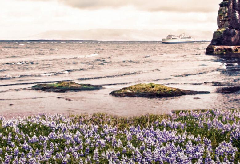 Kuvassa on merenrantaa ja etualalla on sinistä  kukkamattoa. Vasemmalla on vuorta ja sen edessä on valkoinen matkustajalaiva. Kuva on osa kirjan kannesta Rakel. 