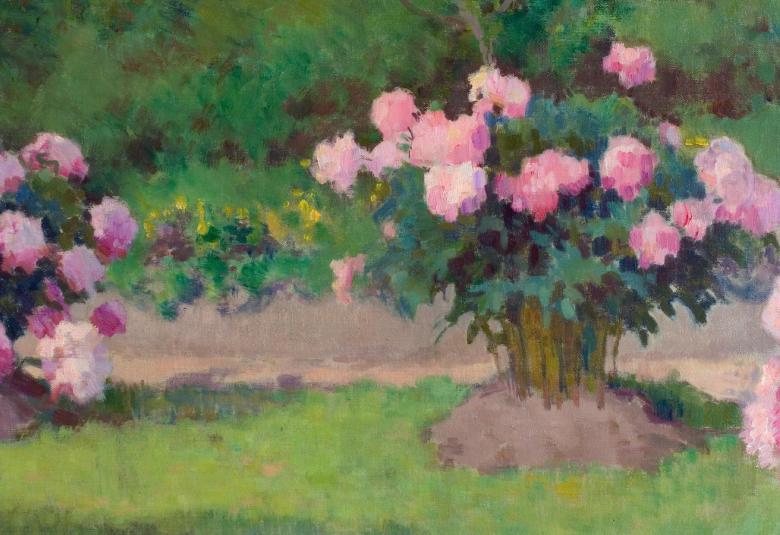 Kuvassa on vaalean punaisia pioneja ja vasemmalla on osa pionipensasta. Oikealla on kokonainen pensas ja reunassa on osa pensaasta. Edessä on vihreää ruohoa ja taustalla vihreää pensaistoa tasaisesti.