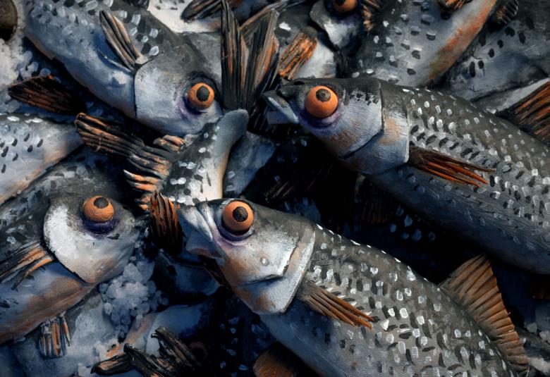 Kuvassa on paljon siniharmaita kaloja, joilla on isoja suomuja ja oranssit silmät. 