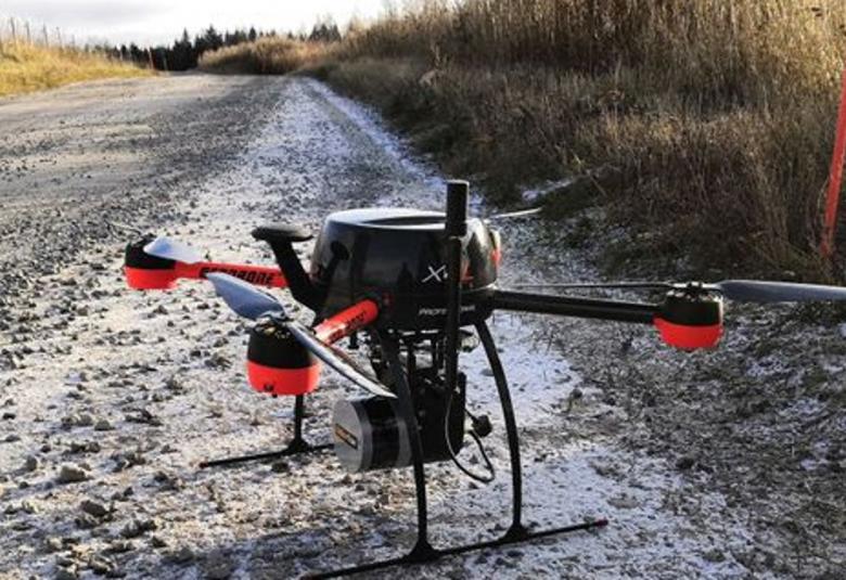 Kuvassa on soratie maaseudulla ja vasemmalla näkyy hieman ruohopeltoa. Oikealla on pitkää ruohoa.  Etualalla on drone, jossa on tummien neljän sakaran alla oranssia.  