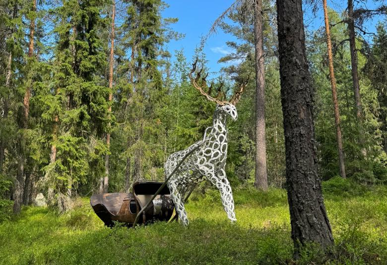 Kuvassa on metsää ja siellä on teos valkoisesta isosta peurasta sarvineen, joka on tehty reiällisestä teräksestä. Peura vetää perässään puista rekeä.