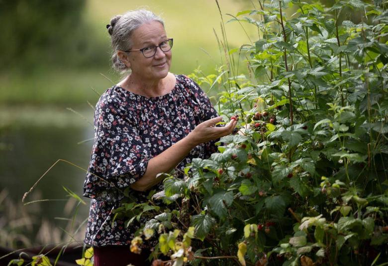 Kuvassa on Päivi Ketolainen seisomassa vadelmapensaiden vieressä, jotka ovat oikealla Poikolaisella on pikkukukallinen pusero päällään. Tauslla näkyy vihreää niittyä. 