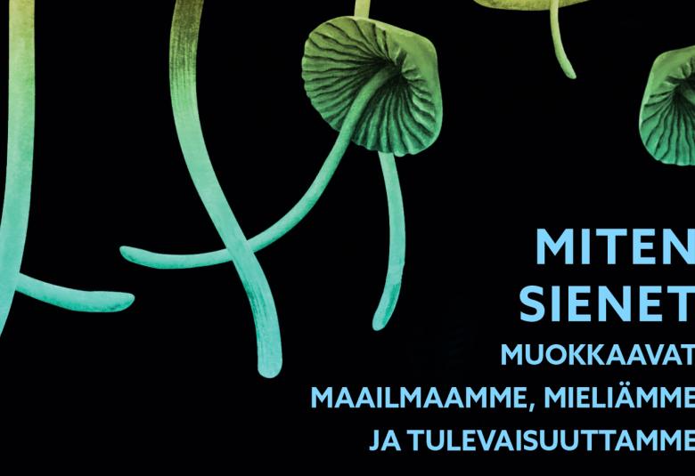 Kuvassa on mustalla pohjalla vihertäviä sieniä ja niillä on pitkät, kapeat kannat. Oikeassa kulmassa on kirjan nimi Miten sienet muokkaavat maailmaamme, mieltämme ja tulevaisuuttamme.