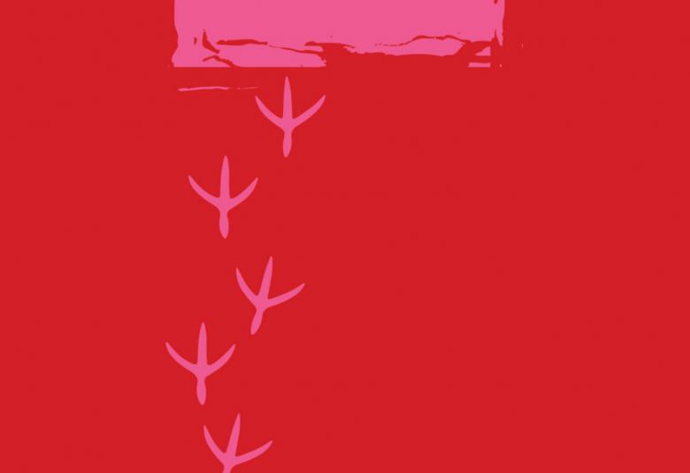 Kuvassa on punaisella pohjalla vaalean punaisia lentokoneelta näyttäviä alaspäin meneviä kuvioita. Kuva on osa kirjan kannesta.