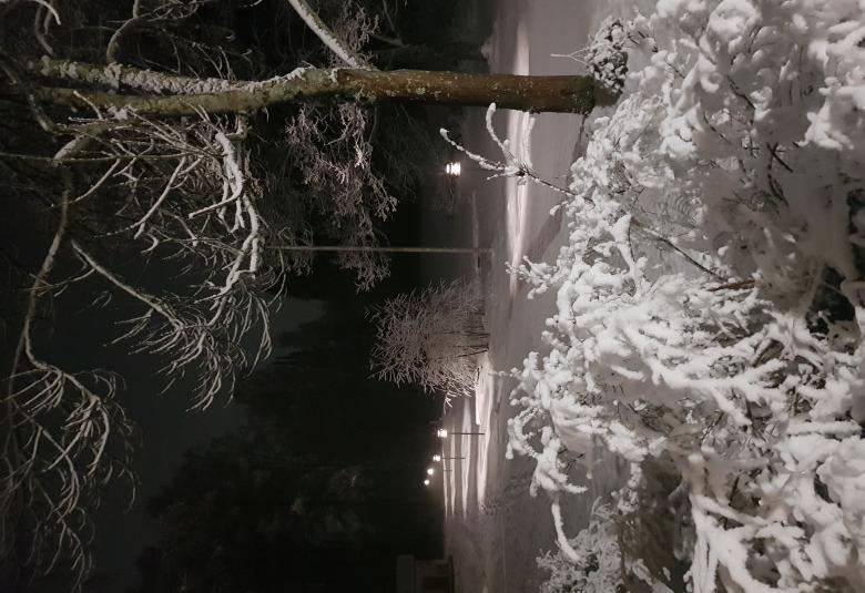 Kuvassa on Diandra seisomassa ja nänellä on vaalean roosa mekko, jossa on kukkakuvioita. Hä pitää oikealla kädellään helmasta kiinni.