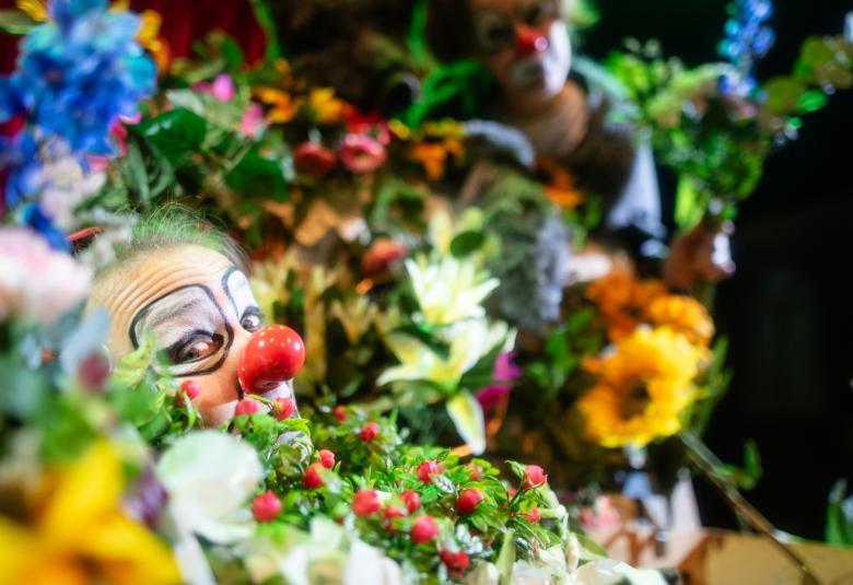 Kuvassa on kukkameri eri värisistä kukista, erityisesti keltaisista. Vasemmalla keskeltä kukkia kurkkii klovnin kasvot ja punainen nenä.