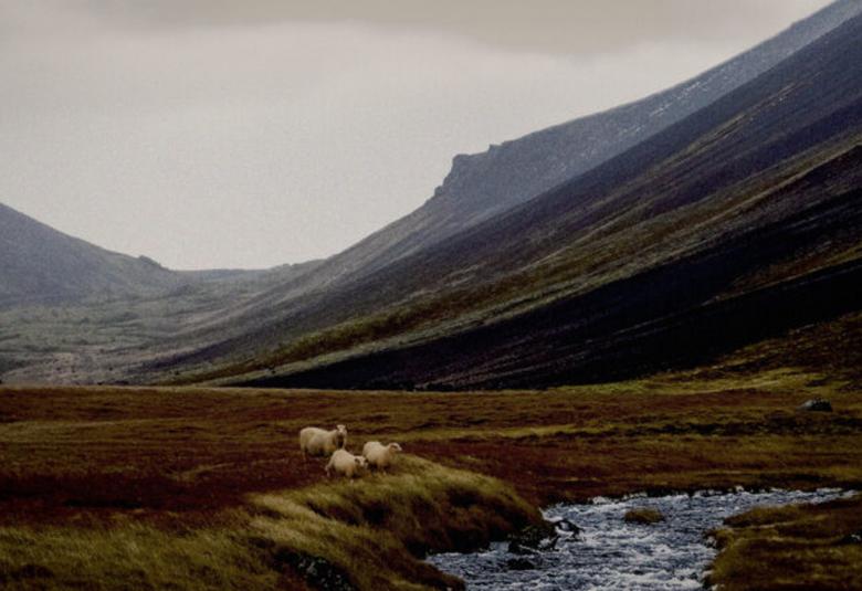 Kuvassa on Islannin tuntureita taustalla ja välissä laaksoa. Etualalla keskellä lamppaita ja niiden edessä joki.