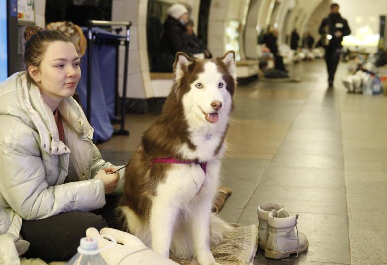Kuvassa on vaaleaa metrokäytävää ja vasemmalla edessä vaaleatakkinen nuori nainen ja hänellä on iso valko-harmaa koira istumassa. Taustalla näkyy muita ihmisiä kauempana.