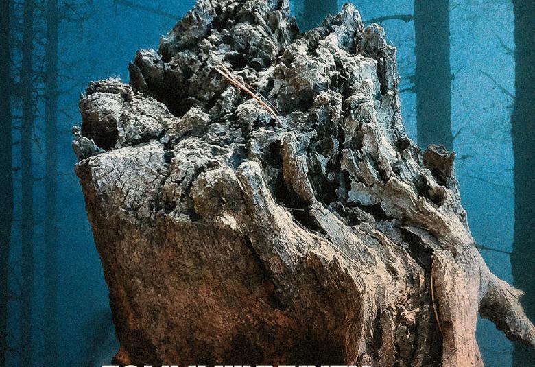 Kuvassa on iso harmaa päältä ropolainen kantomainen puun osa. Takana on sinistä.  Kuva on osa Rauman teatterin julistetta.