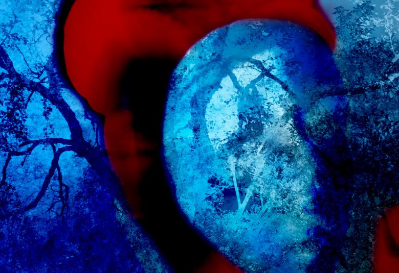 Kuvassa on punainen päähine ja sinistä, jossa on oksia. Päähineen sisältä hahmottuu hieman kasvoja. Kuva on osa kirjan kannesta.