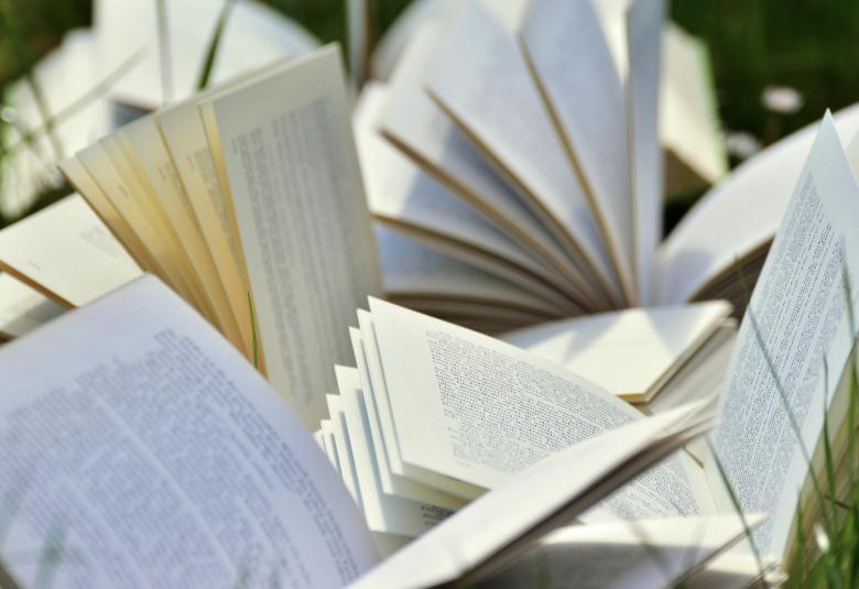 Kuvassa on kirjoja avoinna ja niiden vierestä näkyy vihreitä ruohon korsia.