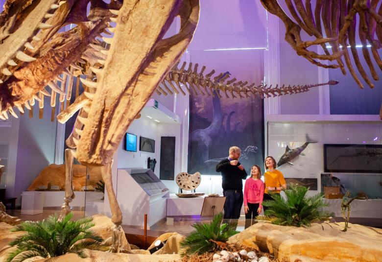 Kuvassa on huone, jossa on ylhäällä dinosauruksen pään luut. Alla on saniaispensaita ja vaaleata hiekkaa sekä kiviä. Taustalla valkoisia seiniä ja ikkunoita. Keskellä on lattialla katsomassa dinosaurusta vasemmalla mustissa vaatteissa mies seisomassa ja vieressä oikealla nainen ja tyttö