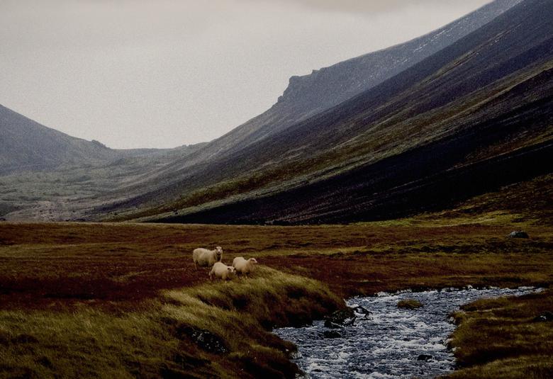 Kuvassa on tuntureita vasemmalta oikella kaartuen.  edessä on tumman vihreää ja edessä leveää puroa virtaamassa. Takana on harmaata taivasta. Kuva on osa kirjan kannesta.